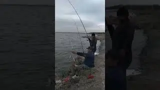 #fisherman's hunt #Подписаться Qilishni Unutmang 😆😆☝️😉😉👍🤘