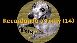 Recuerda a Tu Mascota en Tinta + Foamboard #Tizonarte #digitalpyrography #artecnc #gcodeart