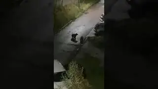 6 сентября 2023 г.