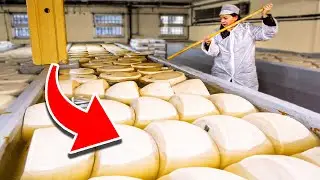 10 Reasons Why Americans Eat So Much Cheese