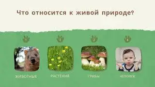 Живая и неживая природа. Окружающий мир. 2 класс
