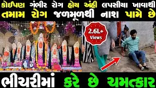 આ માતાજીને માત્ર 1 કીલો મીઠું ચડાવવાથી તમામ રોગ ભાગી જાય છે | Bhichari Mataji temple