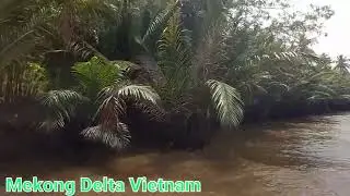 Mekong Delta Vietnam@Reise