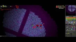 RotMG - When you act like a pro but you have chronic skill issues