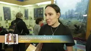 "Домашние животные": Репортаж с выставки "Морских свинок"