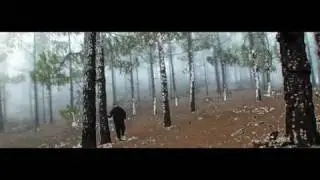 El viajero estelar