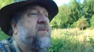 The Perry orchard in drought