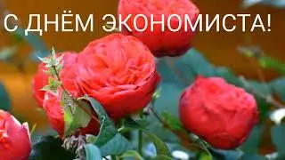 САМОЕ КРАСИВОЕ ПОЗДРАВЛЕНИЕ С ДНЕМ ЭКОНОМИСТА