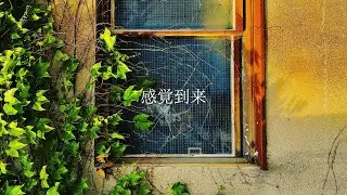 ondo - 感覚到来（Official Video）