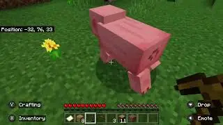 Minecraft pig