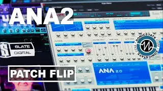 Slate Digital ANA 2 Bundle - New Packs Patch Flip