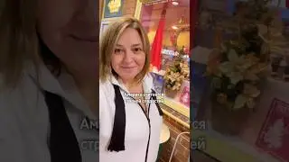 Сладости для собак в Америке 