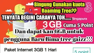 Cara menggunakan Kuota Roaming Singapura Tree
