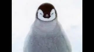 думал что-то смешное будет)