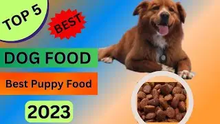 Best Puppy Food 2023 (TOP 5 best dog food)best dog food for puppies philippines