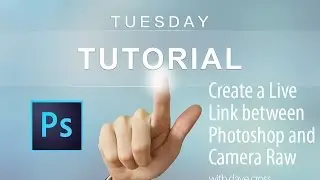 Create a Live Editing Link Between Photoshop and Camera Raw
