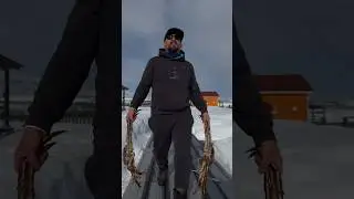 Когда отлично отловился  и идешь готовить ))