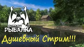 Рыбачим в Русской рыбалке 4! Стрим! рр4 стрим!!!