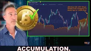 17 MONTH HIGH BTC WHALES ACCUMULATING. PRICE DROPPING. HAMSTER KOMBAT.