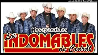 Los Indomables De Cedral - MIx 2018