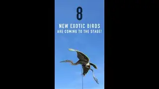 BIRD 7