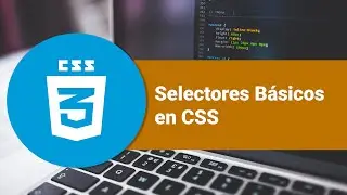 Selectores Básicos en CSS: Aprende a Estilizar tu Web desde Cero