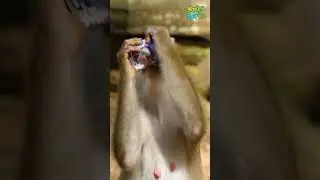 She is a mother but still drinks milk😂❤️.