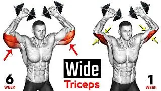 Tricep Workout with Dumbbells (12 Effective Exercise )