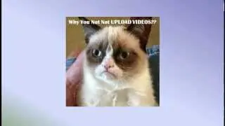 Why I haven't Been Uploading Recently! (Sorry)