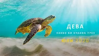 ДЕВА * ЮЛИ 2020 * Месечен хороскоп