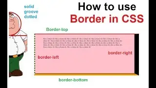 how to border in css | css border lett right top bottom