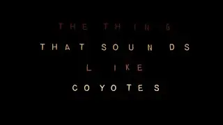 The Thing That Sounds Like Coyotes