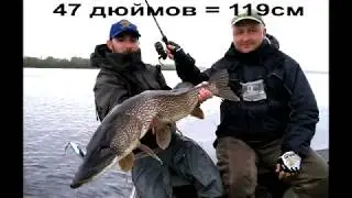 Ловля Щуки на Аляске