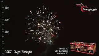 СП07   Коза Ностра
