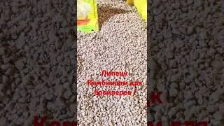 #бройлер