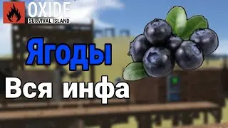 Ягоды в Оксайде, откуда появились? где достать? что будет если сесть?