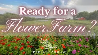 What We Wish We Knew Before We Started A Flower Farm: Must-Know Tips | PepperHarrowFarm.com