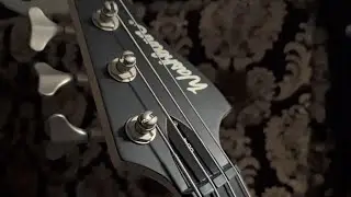 Сплин - Мороз по коже (Cover) by Alex Samoylov