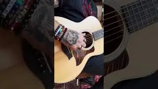 NEW 50th Anniversary Taylor GS-Mini!