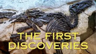 What were the first dinosaur fossils ever discovered?