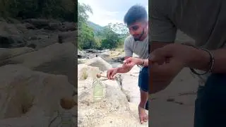 Music with the beauty of the environment