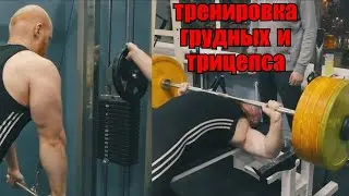 Силовой жим лежа. Новая камера