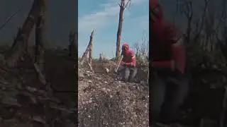18 октября 2023 г.