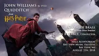 Williams Quidditch