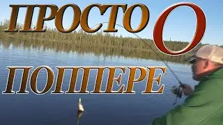 ПРОСТО О ПОППЕРЕ...
