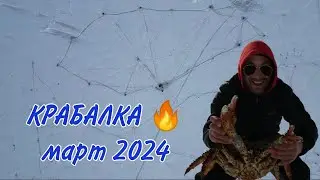 Крабалка март 2024