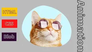 CSS Blob Animation | No JS | Bangla CSS Blob Animation | HTML CSS