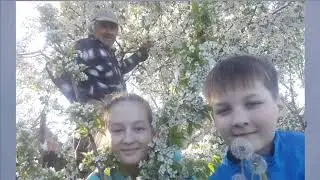 В Фомин Авторская Парус юности  ремикс