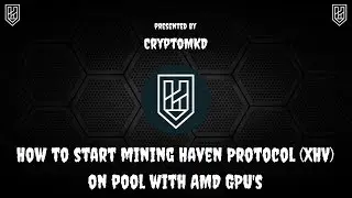 How to start mining Haven Protocol (XHV) on pool with AMD GPU's