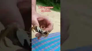22 июля 2024 г.